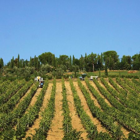Agriturismo Isola Verde Черрето-Гвиди Экстерьер фото